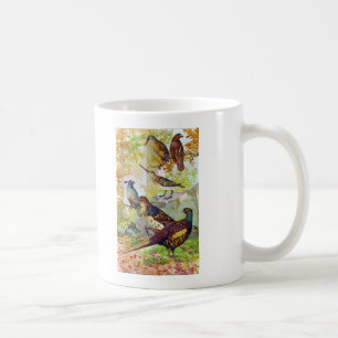 Spelfåglar 1902 True Stone Chromolithograph Kaffemugg