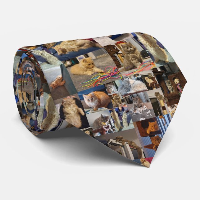 Spelfull fluffy Kittens Photo Collage Slips (Rullad)