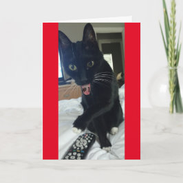 spelinbjudan, fjärrkatt roligt inbjudan