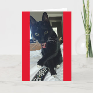 spelinbjudan, fjärrkatt roligt inbjudan