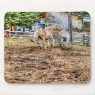 Spelkamp Palomino & White Ranch Horse Musmatta