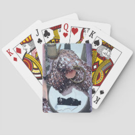 Spelkort: Den Magiska Ringen Casinokort