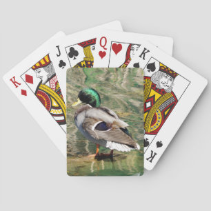 Spelkort för Mallard Anka
