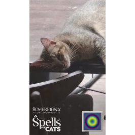 Spells för katter: Lugn kitty (Lugnande) Klistermärken