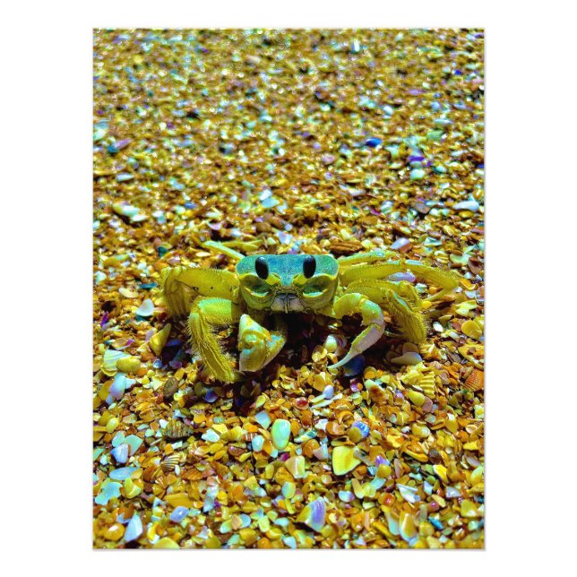 Spelman Crab Fototryck (Framsidan)