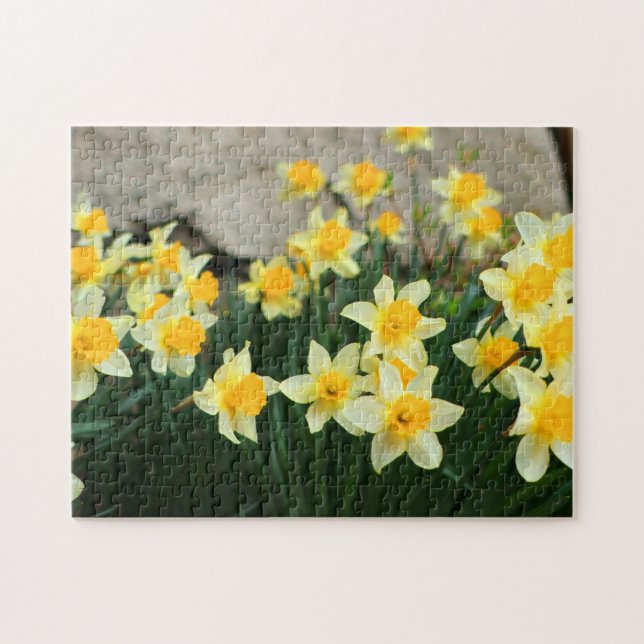 Spelpussel-Daffodils Pussel (Horisontell)