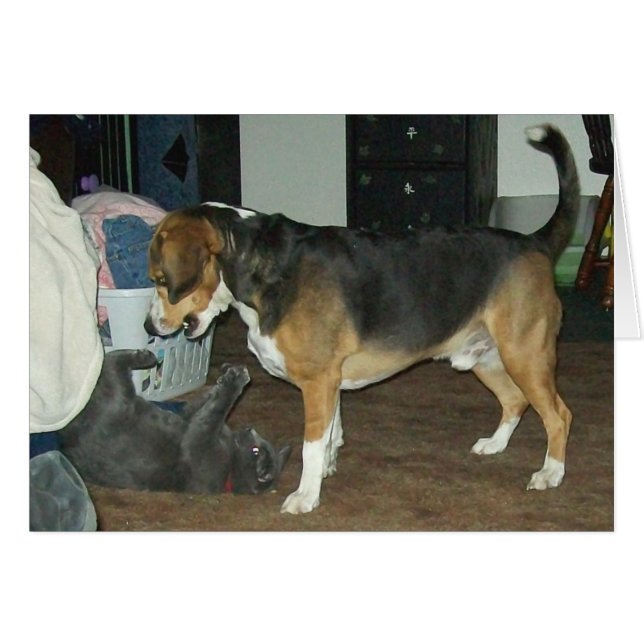 Speltid - Beagle Hund och ryska Blue Cat OBS Kort (Framsidan Horizontal)