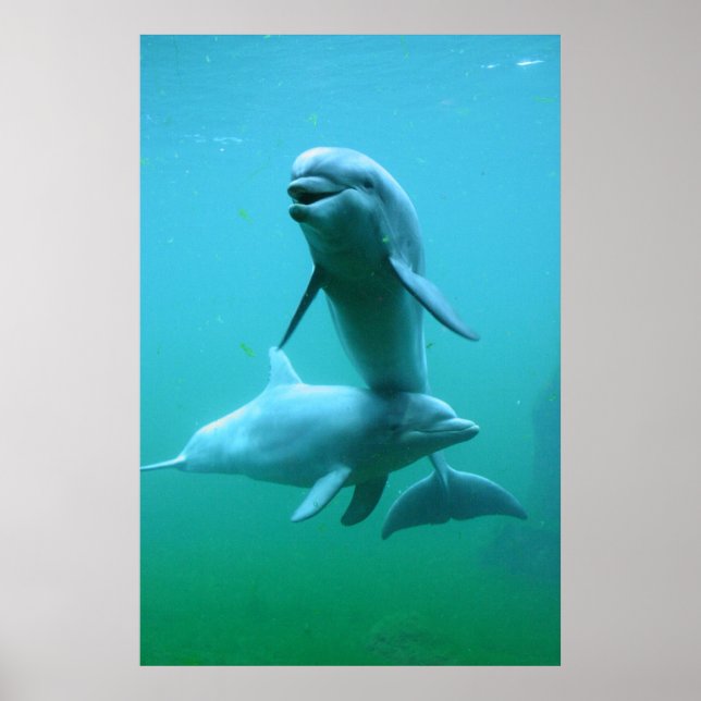 Speltid Poster (Framsidan)