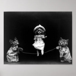 Speltidskatter med att hoppa över doll Harry Frees Poster