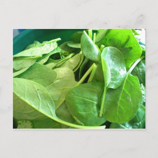 Spenat Vykort (Framsida)