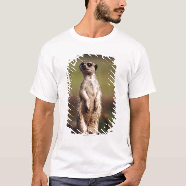spenslig-tailed meerkat tee (Framsida)