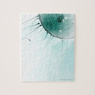 Sperm Fertiliserar en Ovum. Pussel