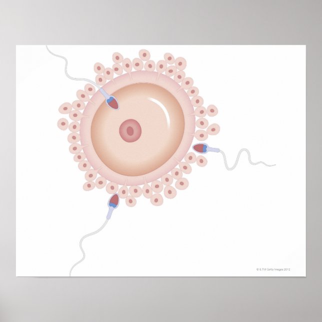 Sperm innehållande muterad gen poster (Framsidan)