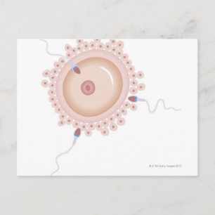 Sperm innehållande muterad gen vykort