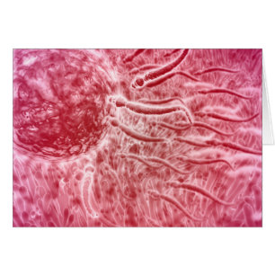 Sperm som reser mot ägg med cellia hälsningskort