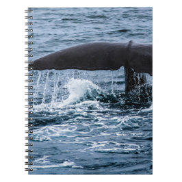 Sperm Whale Anteckningsbok