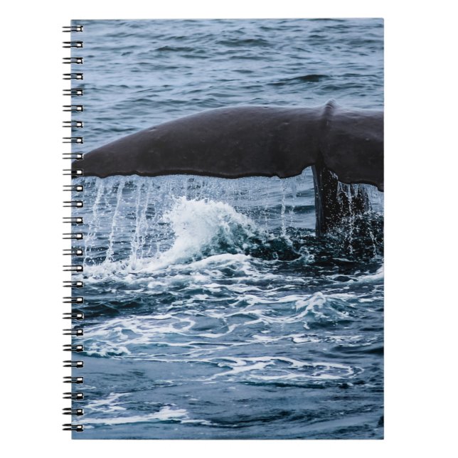 Sperm Whale Anteckningsbok (Framsidan)