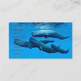 Sperm Whale Family Visitkort