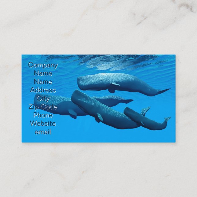 Sperm Whale Family Visitkort (Framsida)