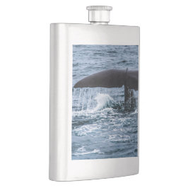 Sperm Whale Fickplunta