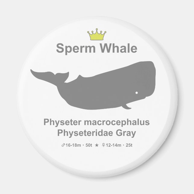 Sperm Whale g5 Magnet (Framsidan)