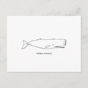 Sperm Whale (konst) Vykort