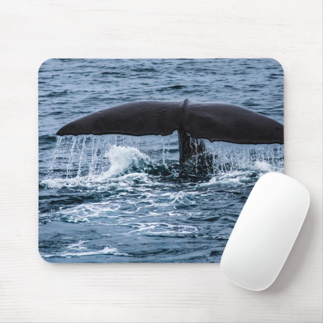 Sperm Whale Musmatta (Med mus)