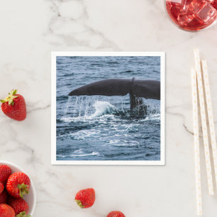 Sperm Whale Pappersservett