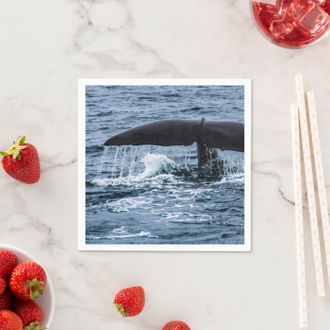 Sperm Whale Pappersservett (Insitu)