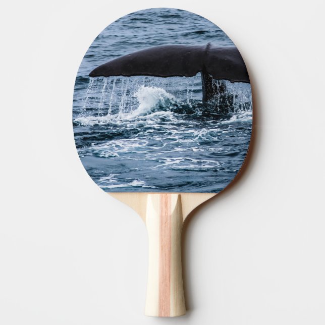 Sperm Whale Pingisracket (Baksidan)