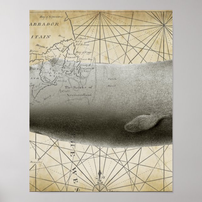 Sperm Whale Vintage Nautical Karta Part 2 Poster (Framsidan)