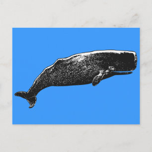 Sperm Whale Vykort
