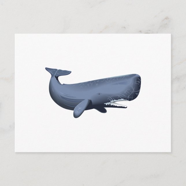 SPERM WHALE VYKORT (Framsida)