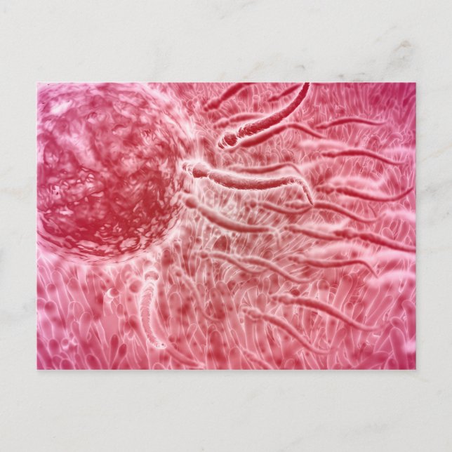 Sperma som färdas mot äggcell med cellie vykort (Framsida)