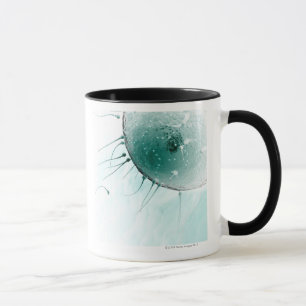 Sperma som gödslar en Ovum. Mugg