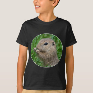 Spermophilus citellus tee