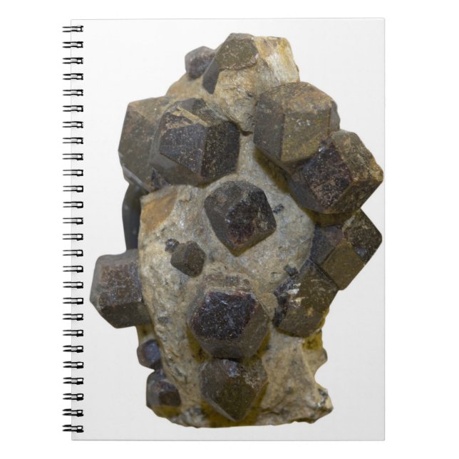 Spessartite i matris anteckningsbok (Framsidan)