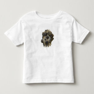 Spessartite i matris tee shirt