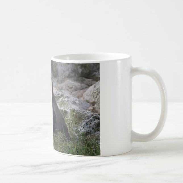 Spheniscus humboldti kaffemugg (Höger)