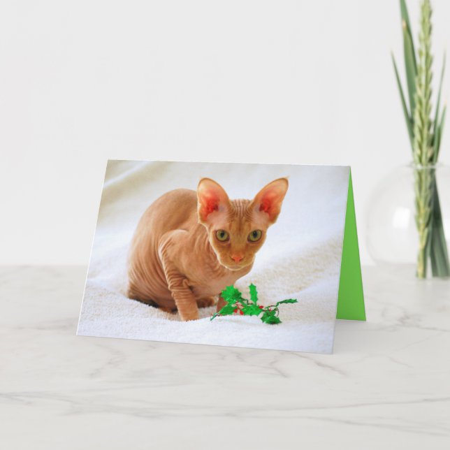 Sphinx Cat Holly God jul Helgkort (Framsida)