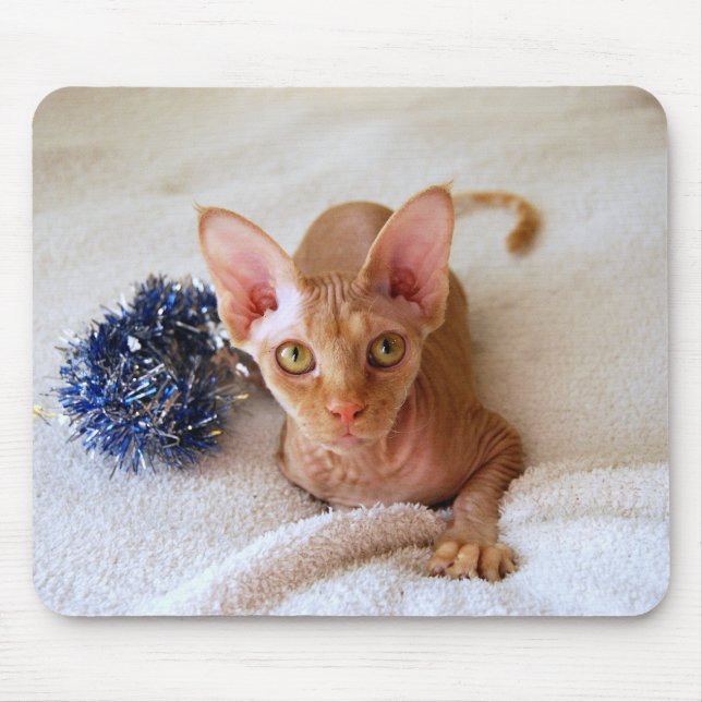 Sphinx Cat med Blue Tinsel Mousepad Musmatta (Framsidan)