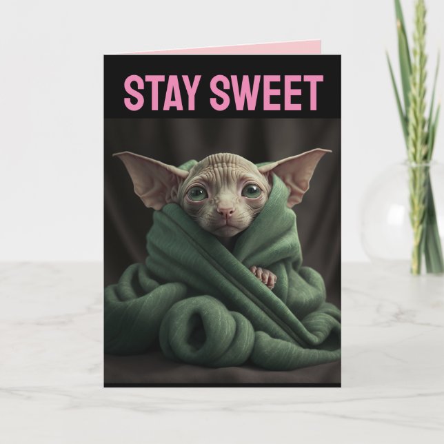 SPHINX CUTE HAIRLESS CAT BIG VALENTINS DAGKORT KORT (Framsida)