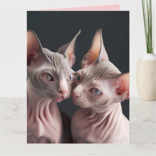SPHINX HAIRLESS CAT BIG VALENTINS DAGKORT KORT