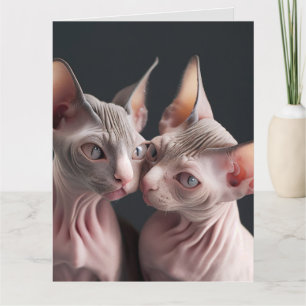 SPHINX HAIRLESS CAT CATS BIG BIRTHDAY CARD KORT