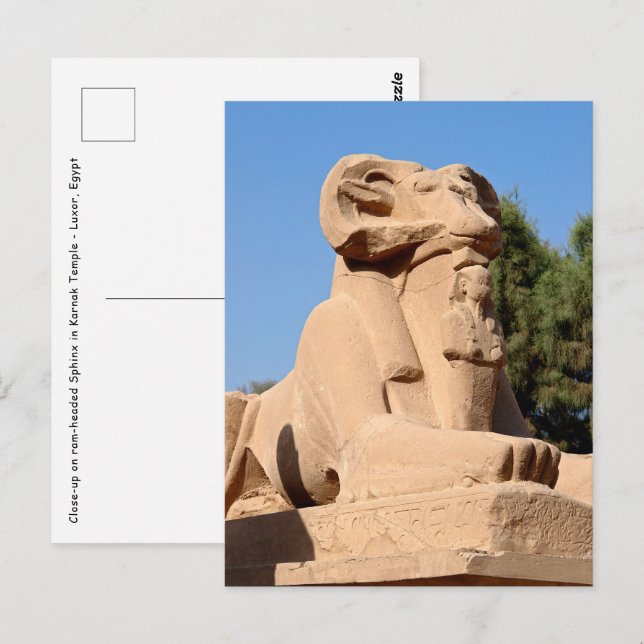 Sphinx i Karnak Temple - Egypten Vykort (Fram/baksida)