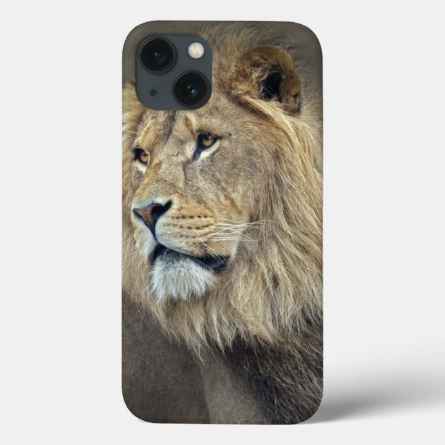 Sphinx iPad-fodral (Baksida)