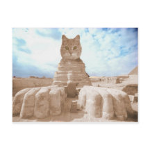 SphinxCat