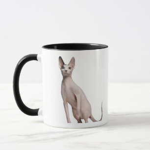 Sphynx (13 gammala månader) mugg