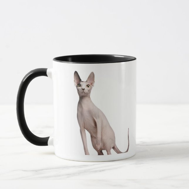 Sphynx (13 gammala månader) mugg (Vänster)