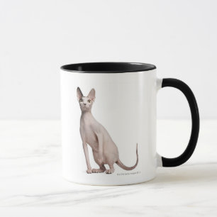 Sphynx (13 gammala månader) mugg